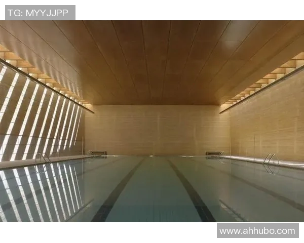 如何在家中打造完美泳池设计从规划到施工的全方位指南