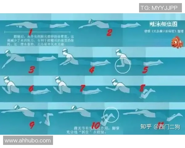 提高蛙泳技巧的有效训练方法与技巧步骤解析