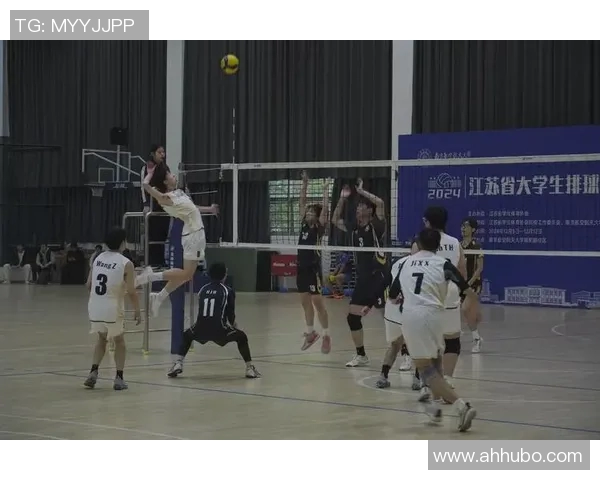 南京排球队球员表现卓越最新排球个人能力排行榜前十名揭晓