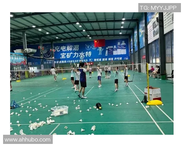 深圳羽毛球队的蜕变之路与深度解析羽毛球运动的未来发展